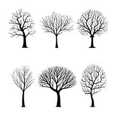 Obraz premium Winter Tree Illustrations with Thin Branches and Detailed Lines