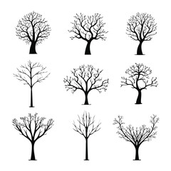 Obraz premium Tree Collection with Rounded and Angular Winter Forms