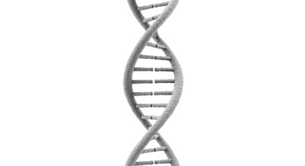 DNA png