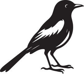 Obraz premium Doel Bird Black Silhouette Vector, National Bird Clipart & Minimal Nature Design