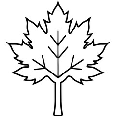 Maple Tree Nature Icon – Thin Line Art Vector for Seasonal Uses