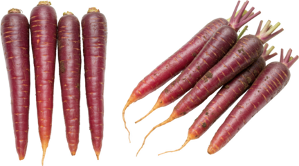Fresh Purple Carrots Organic Vegetables Root Crops Healthy Eating Vibrant Colors Dietary Fiber Farm