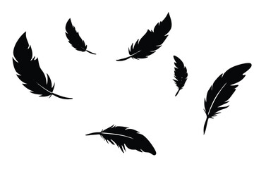 Fototapeta premium Black feathers float gently against a clean white backdrop in artistic monochrome simplicity