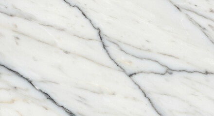 Obraz premium A close up of white marble with dark veins running through it creating a natural stone pattern look
