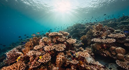 Vibrant Underwater Coral Reef Ecosystem with Sunbeams and Colorful Fish