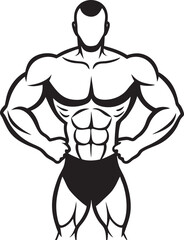 vector illustration of a male bodybuilder