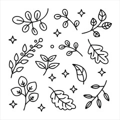 Leaf Swirl and Sparkle Icons with Natural Hand-Drawn Style