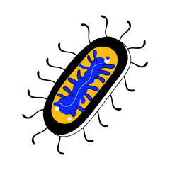 A sketchy illustration showing spirilla bacteria 
