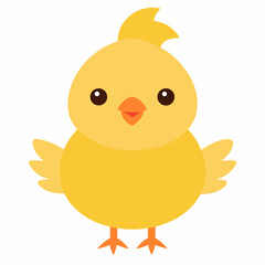 Baby Chicken  vector on white baclground