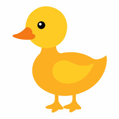 baby Duck  vector on white baclground