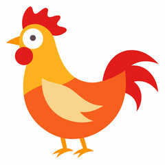 Chicken  vector on white baclground