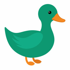 Duck vector on white baclground