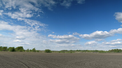 A Vast and Expansive Agricultural Landscape Sprawls Under a Bright Blue Sky Above