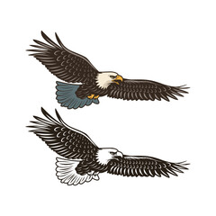 Vector Set of Two Flying Eagles