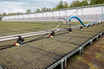 industrial plant cultivation with automatic irrigation