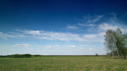 A Serene Landscape Featuring a Clear Blue Sky Complemented by Gentle Green Fields all Around