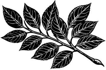 Detailed black and white tree branch with leaves side view, tree, branch, leaves, leaf, foliage, nature, plant, botanical, side view, close up, detailed, silhouette, black and white, graphic, design