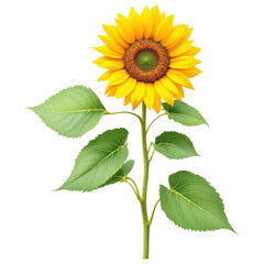 Obraz premium Sunny Sunflower: A vibrant, sun-kissed sunflower, its petals reaching out like golden rays, blooms with joyful exuberance, symbolizing warmth and hope.