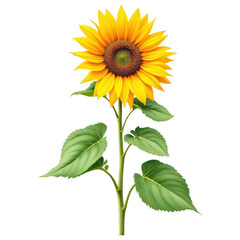 Vibrant Sunflower: A radiant, perfectly rendered sunflower stands tall, showcasing its golden petals, rich brown center, and lush green leaves. A symbol of positivity and the beauty of nature.