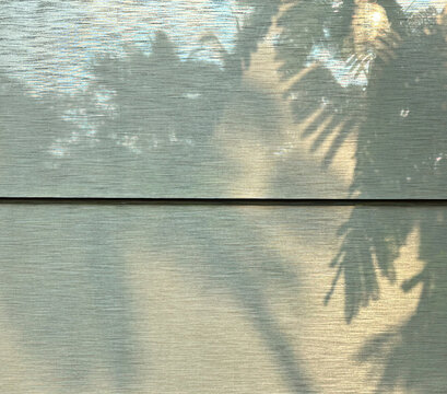 Tranquil Shadows: Palm Leaves on Textured Blinds in Subtle Tropical Hues