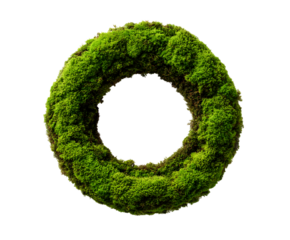 Moss Shaped Like Leaf in Organic Green Tone