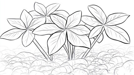 Line drawing of plant sprouts emerging from soil. Botanical illustration. Potential use in educational materials or nature documentaries