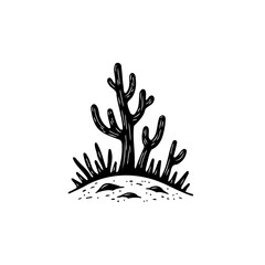 Stylized desert cacti in monochrome drawing for botanical minimalism design