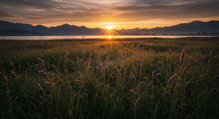 Serene Sunrise over Dew-Kissed Grassland and Majestic Mountains
