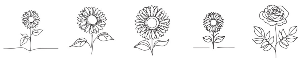 sunflower vector with continuous line style
