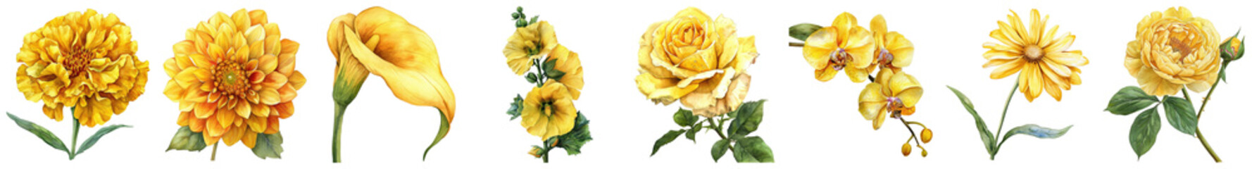 A Vibrant Collection of Various Yellow Flowers with Detailed Petals and Lush Green Leaves for Nature Enthusiasts