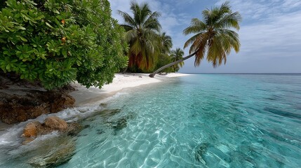 Beautiful beach with a palm tree in the foreground. The water is calm and clear, and the sky is blue. The scene is peaceful and relaxing, perfect for a day at the beach