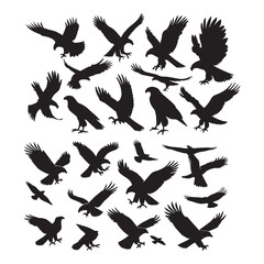 Set of black bird' vector icon silhouettes isolated on white background