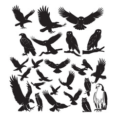 Obraz premium Set of black bird' vector icon silhouettes isolated on white background