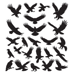 Obraz premium Set of black bird' vector icon silhouettes isolated on white background