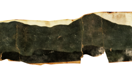 Distressed Paper Texture, Torn Edge, Aged Appearance, cut out transparent