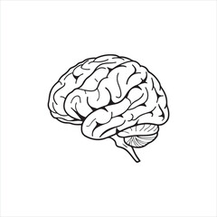 human brain vector illustration