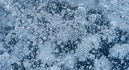 Frozen Water Bubbles and Ice Crystal Formation
