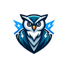 Vector owl mascot illustration for cute animal logo, modern cartoon character, fantasy bird design, adorable wildlife symbol, hunting clipart, predator nocturnal magic art, creative education wings ic