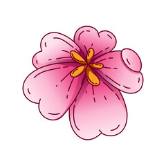 Illustration of pink cherry blossoms in full bloom