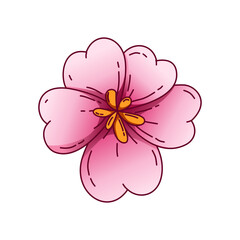 Illustration of pink cherry blossoms in full bloom