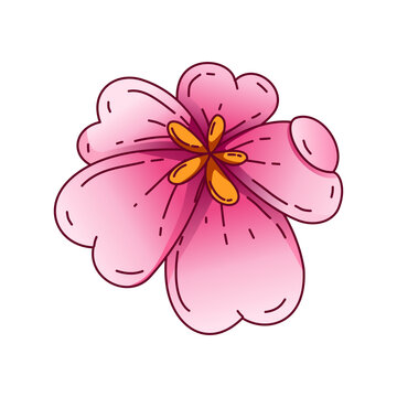 Illustration of pink cherry blossoms in full bloom