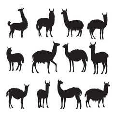 Vector lama collection of silhouettes design