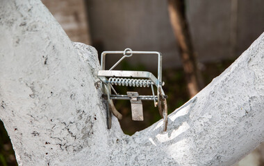 Metal mole trap on a tree at the dacha, close-up