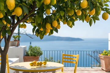 Lemon Tree Branches Laden with Fruit Above Bright Outdoor Table Setting