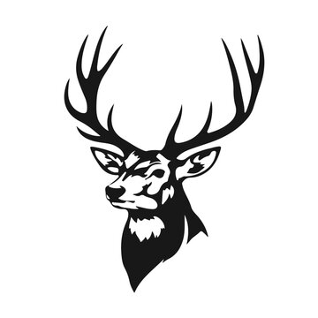 Deer head silhouette, deer face vector illustration, wild animal design, deer logo