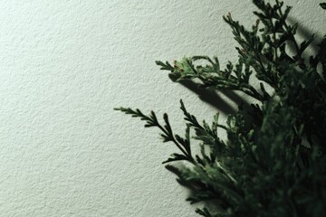 Emerald Sprigs: A Moody Botanical Study