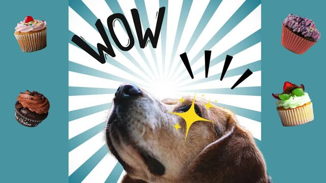 Happy Birthday! Motion Graphic video for birthday wishes for dog and cat lovers. Cute, funny birthday party with cake and bakery treats. Fun animated visuals!