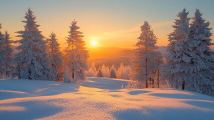 Snowy Forest Sunset Vibrant Winter Landscape