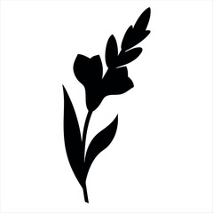 Elegant silhouette of a gladiolus flower with leaves and blooms vector