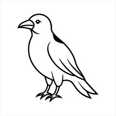 vector illustration of a crow